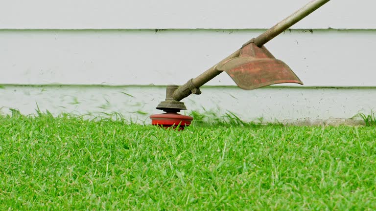 Best Lawn Pest Prevention  in Berino, NM